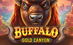 Buffalo Gold Canyon